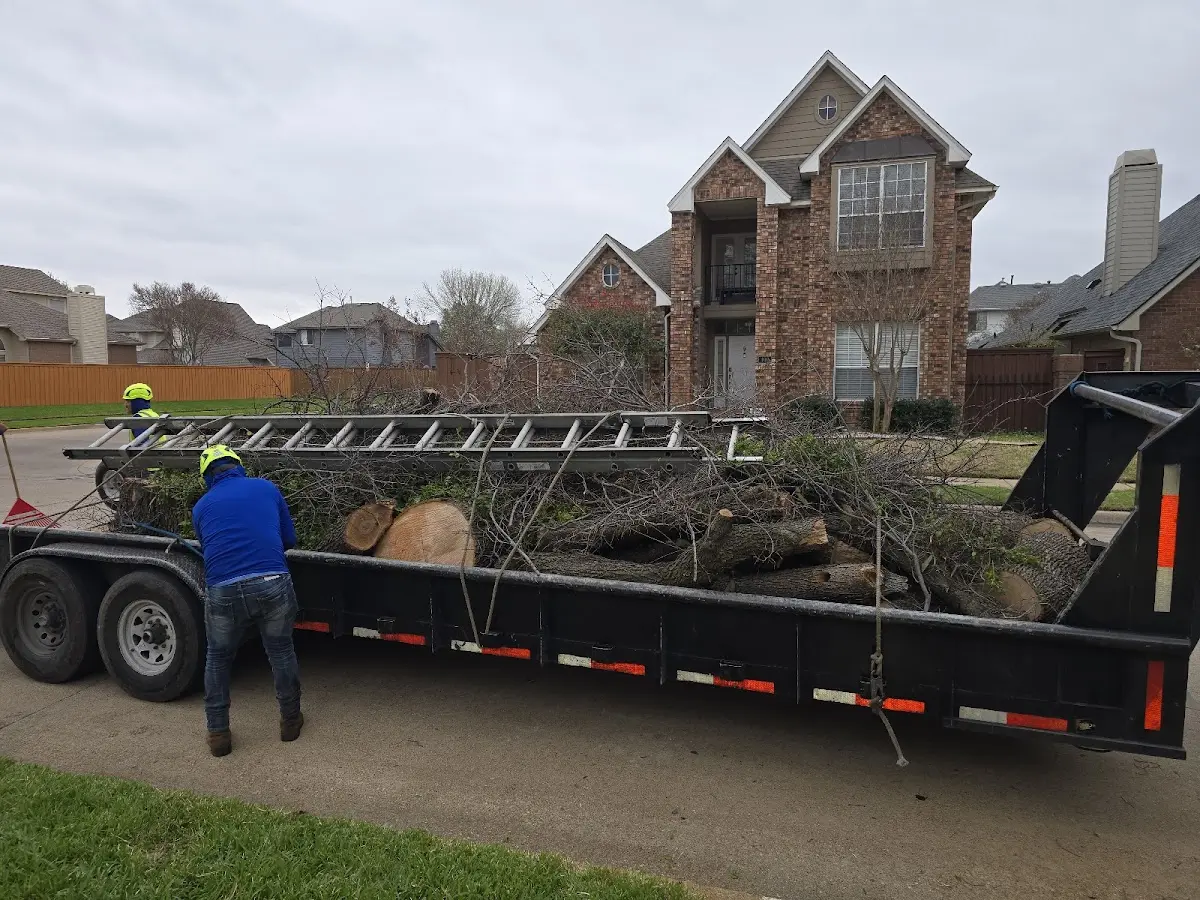 Expert Tree Fertilization with proper safety equipment in Saint Michaels